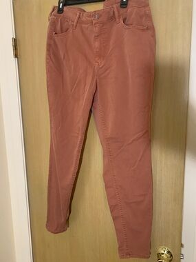 Rusty Rose Plus Size Skinny Jeans